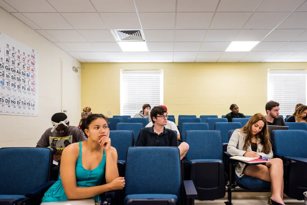 Students attending a college lecture class with support options for Professionals.